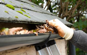 gutter cleaning Thornicombe, Dorset