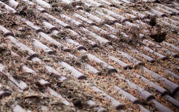 Thornicombe roof cleaning companies