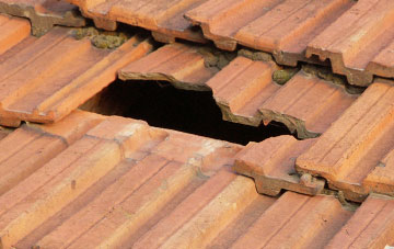 roof repair Thornicombe, Dorset