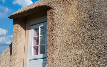 Thornicombe thatch roof disadvantages
