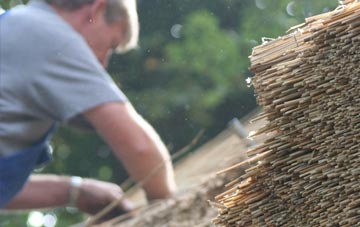 professional Thornicombe thatchers