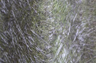 Thornicombe fibreglass roof work